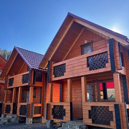 Орхідея Luxe 1 Synevyrsʼka Polyana Exterior foto